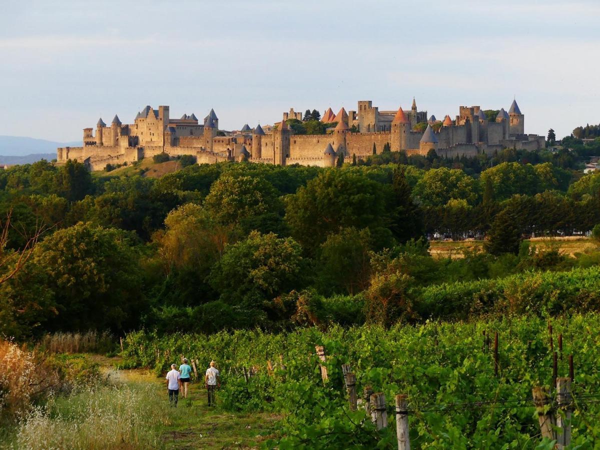 La Maison Des Chapeliers Carcassonne Exteriér fotografie